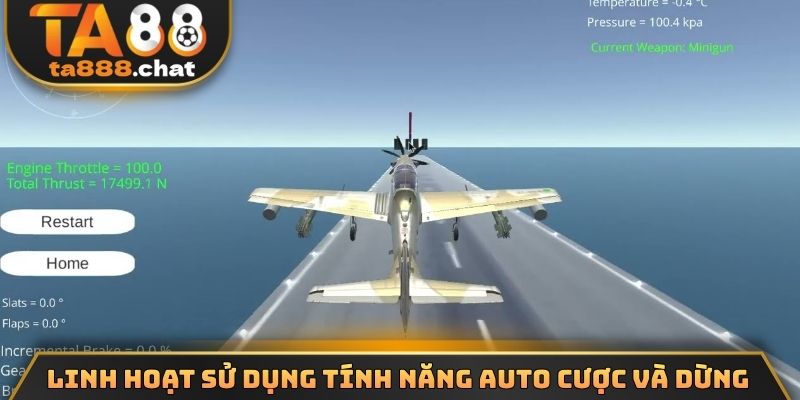 Linh hoạt sử dụng tính năng Auto cược và dừng